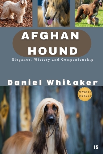 Afghan Hound