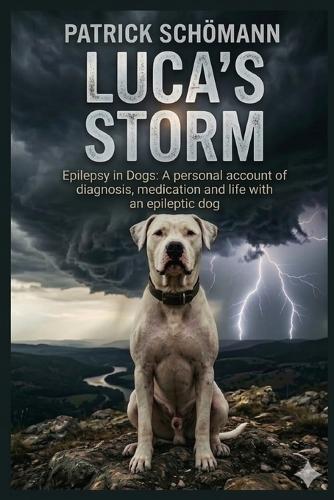 Luca's Storm