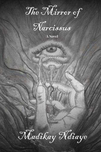 The Mirror of Narcissus