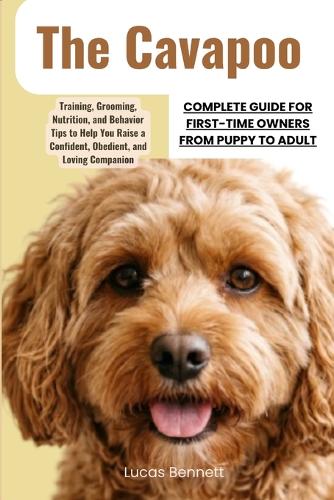 The Cavapoo Complete Guide for First-Time Owners from Puppy to Adult