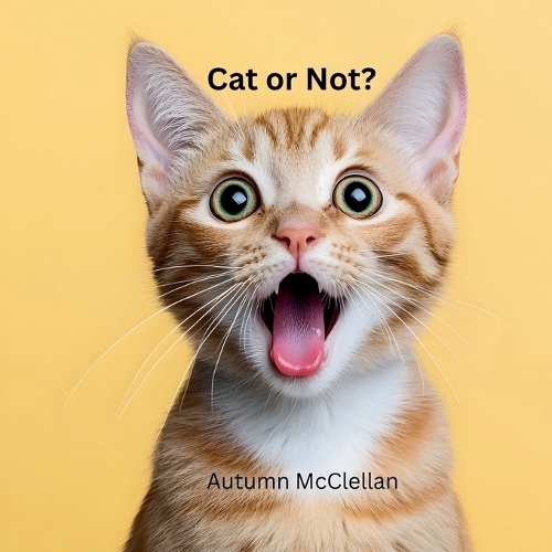 Cat or Not?