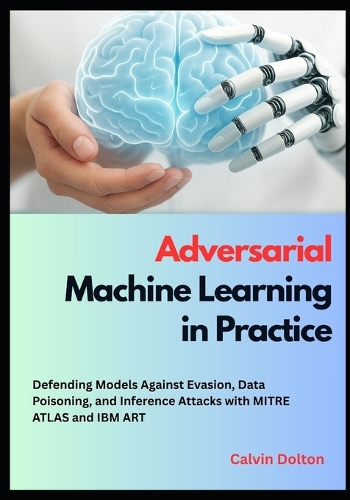 Adversarial Machine Learning in Practice