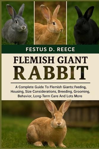 Flemish Giant Rabbit
