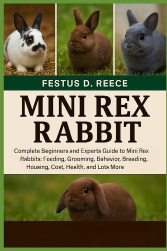 Mini Rex Rabbit