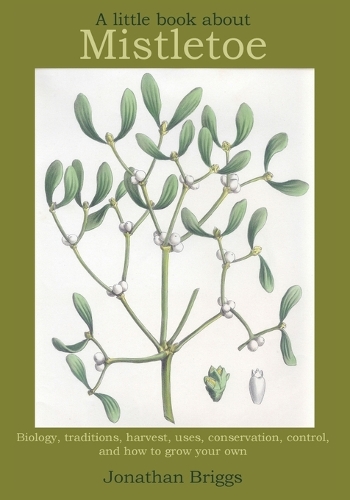 A Little Book About Mistletoe