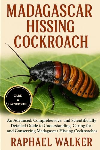 Madagascar Hissing Cockroach