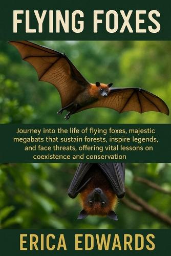 Flying Foxes