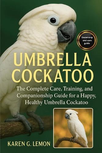 Umbrella Cockatoo