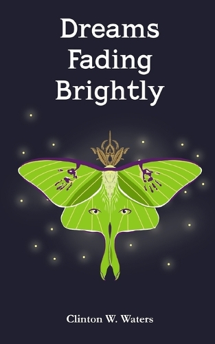Dreams Fading Brightly
