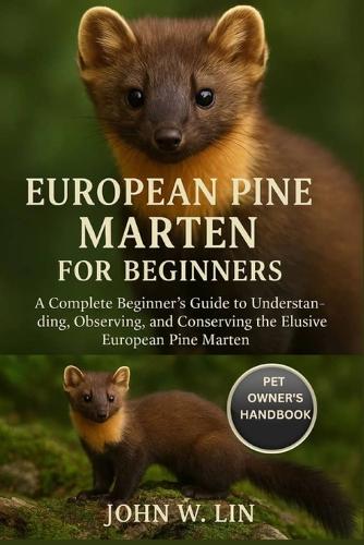 European Pine Marten for Beginners