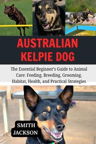 Australian Kelpie Dog