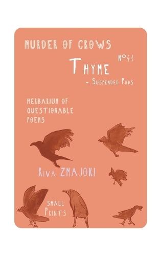 ThymeN°41 - Suspended Pods