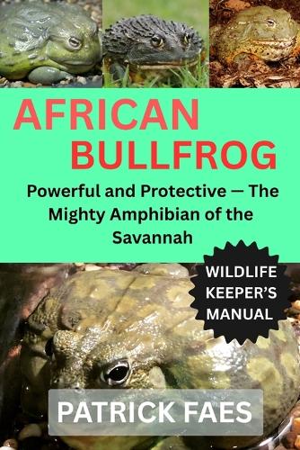 African Bullfrog