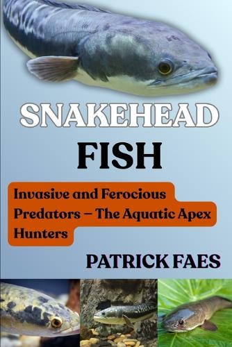 Snakehead Fish