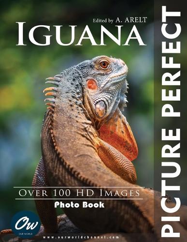 Iguana