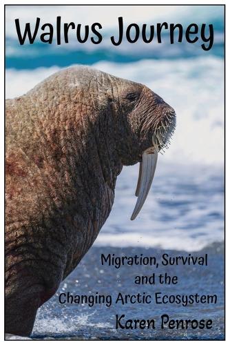 Walrus Journey