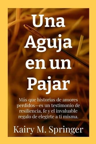 Una Aguja en un Pajar