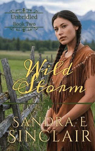 Wild Storm
