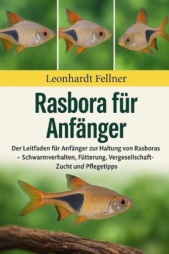Rasbora für Anfänger