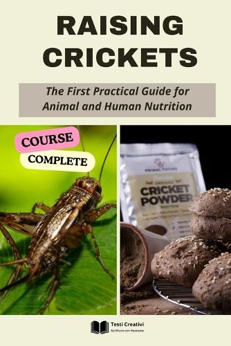 Raising Crickets