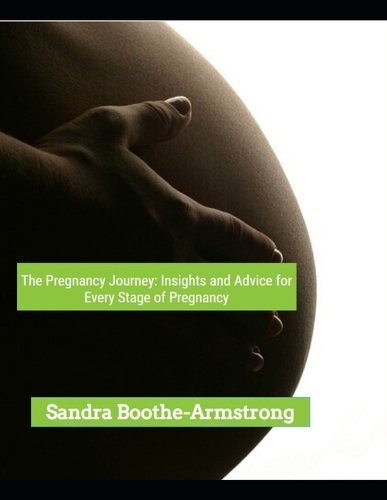 The Pregnancy Journey