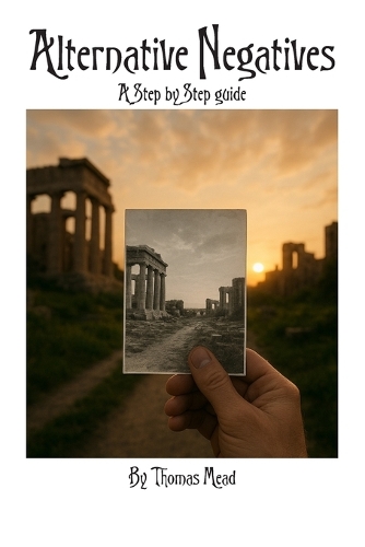 Alternative Negatives