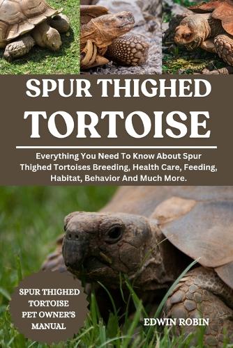 Spur Thighed Tortoise