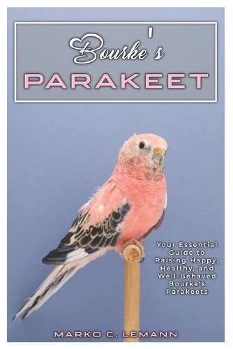 Bourke's Parakeet