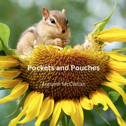 Pockets and Pouches