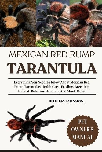 Mexican Red Rump Tarantula