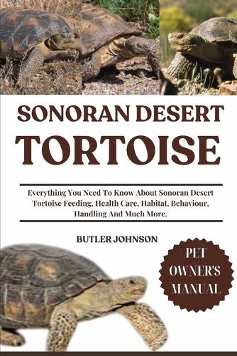 Sonoran Desert Tortoise