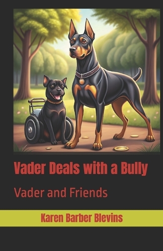 Vader Deals with a Bully
