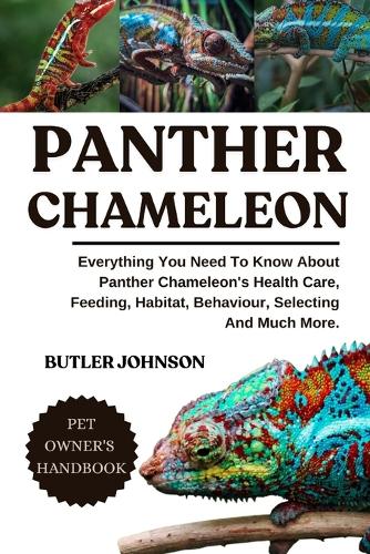 Panther Chameleon