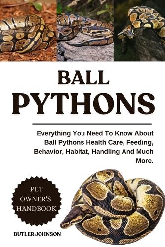 Ball Pythons
