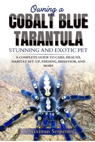 Owning a Cobalt Blue Tarantula