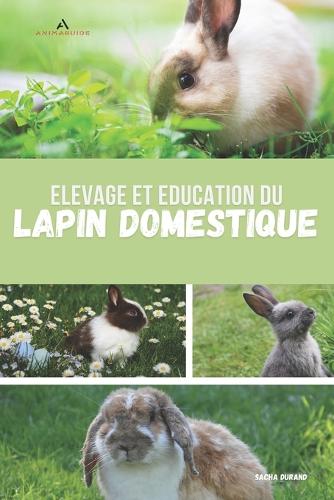 Élevage et éducation du lapin domestique
