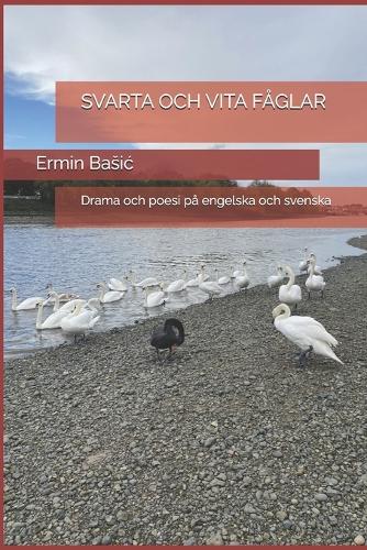 Svarta Och Vita Fåglar