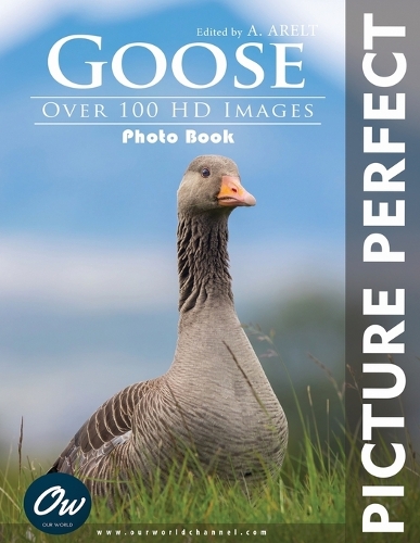 Goose
