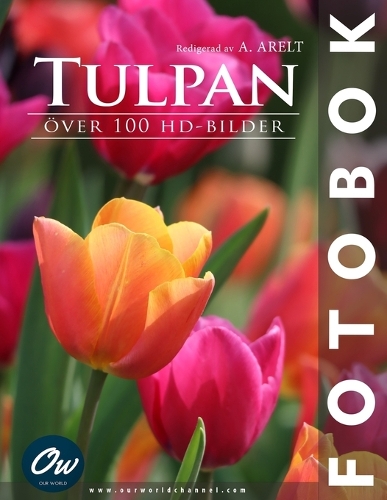Tulpan