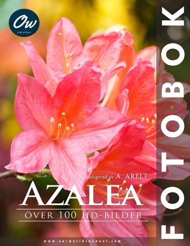 Azalea