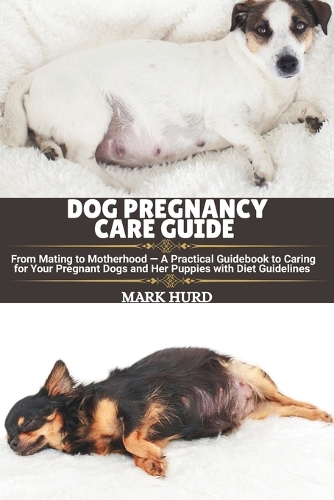 Dog Pregnancy Care Guide