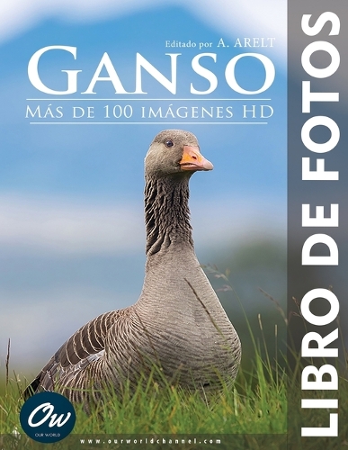 Ganso
