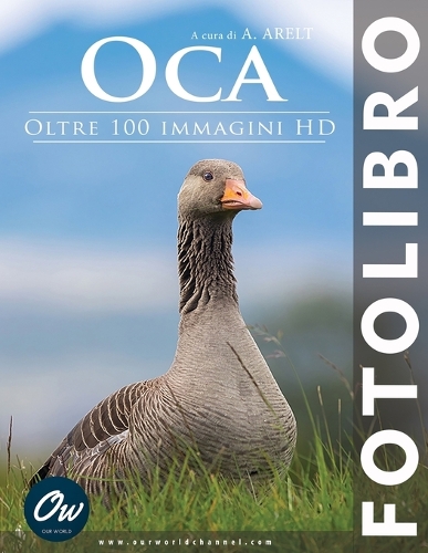 Oca