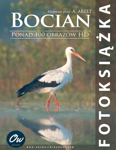 Bocian