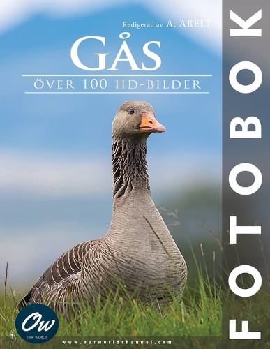 Gås