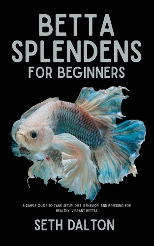 Betta Splendens for Beginners