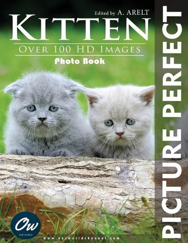 Kitten