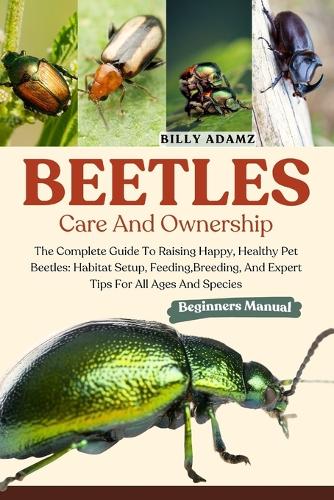 Beetles Care and Ownership