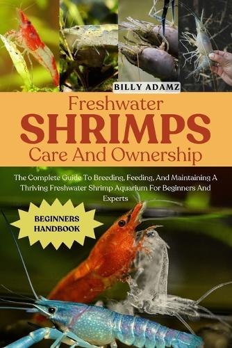 Freshwater Shrimps Care and Ownership