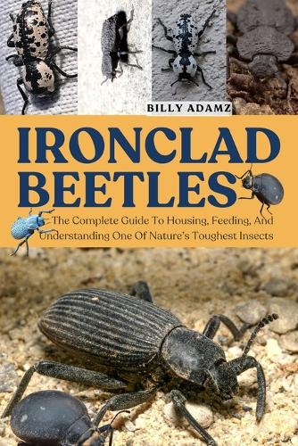 Ironclad Beetles